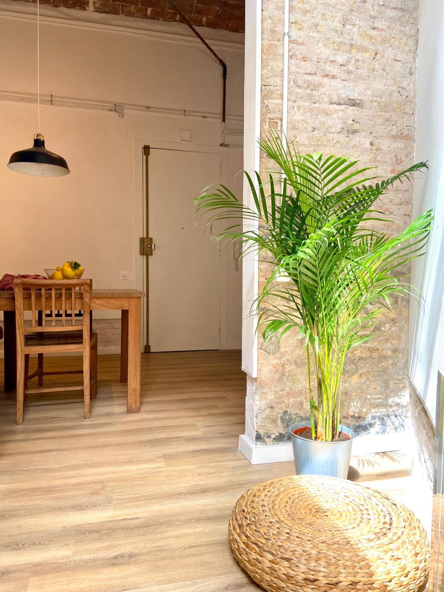 Apartamento Sagrada Vibes